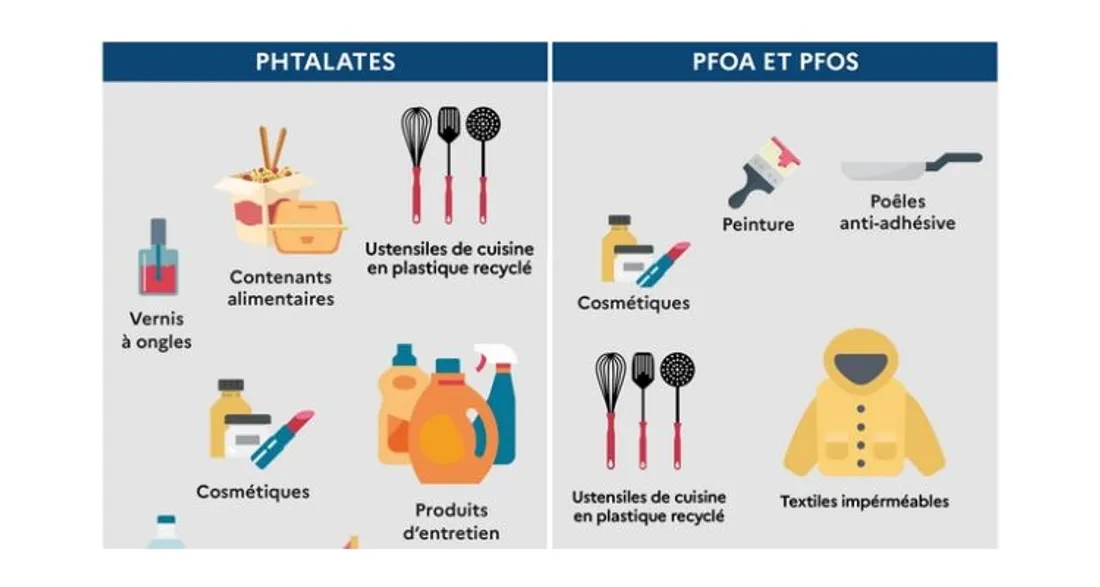Exemples de perturbateurs endocriniens