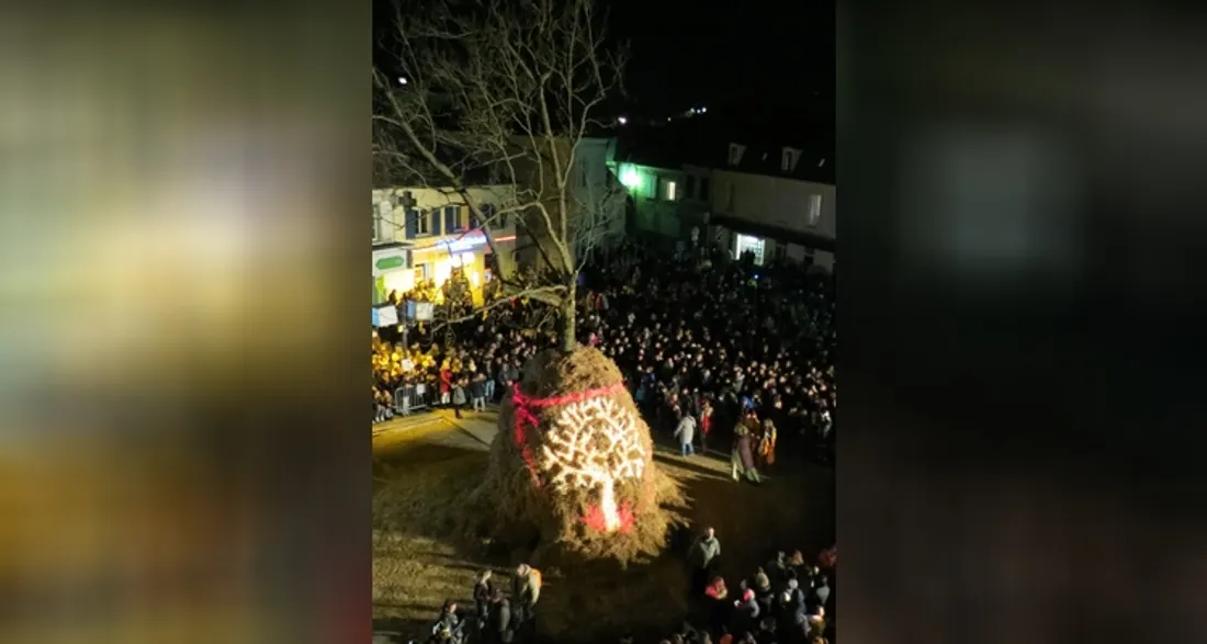 Arbre du Bois Hourdy