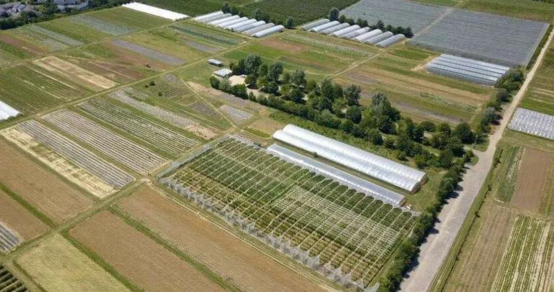 Ferme-cueillette de Servigny