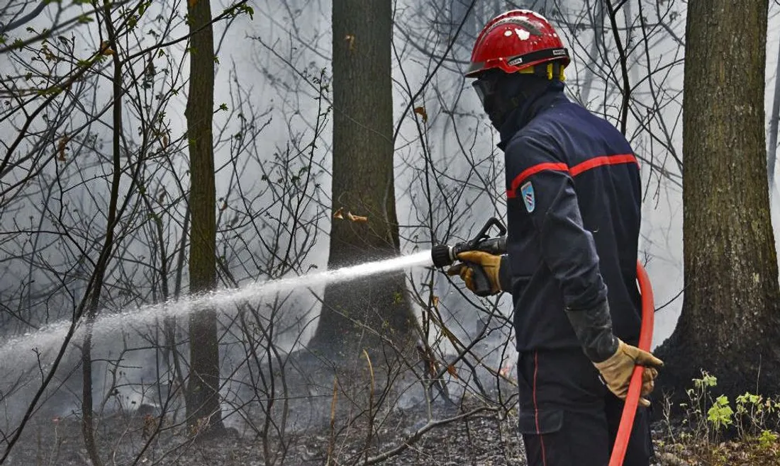 Feu de forêt