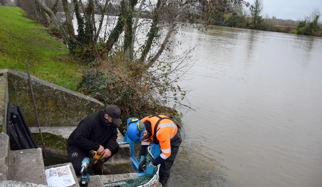 Installation de filets anti-pollution