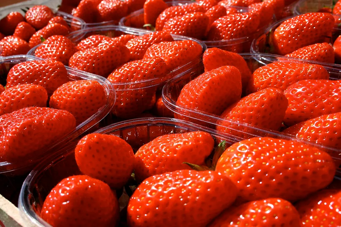 Fraises Label Rouge