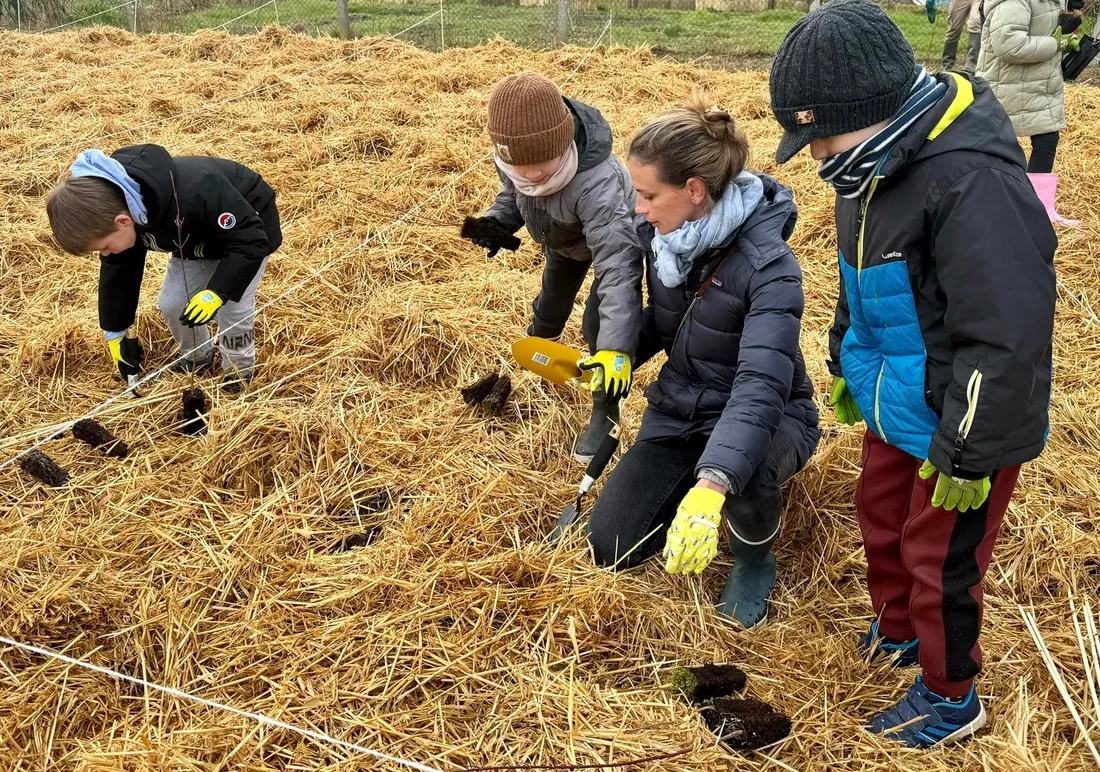 Enfants qui oeuvrent à planter des arbres