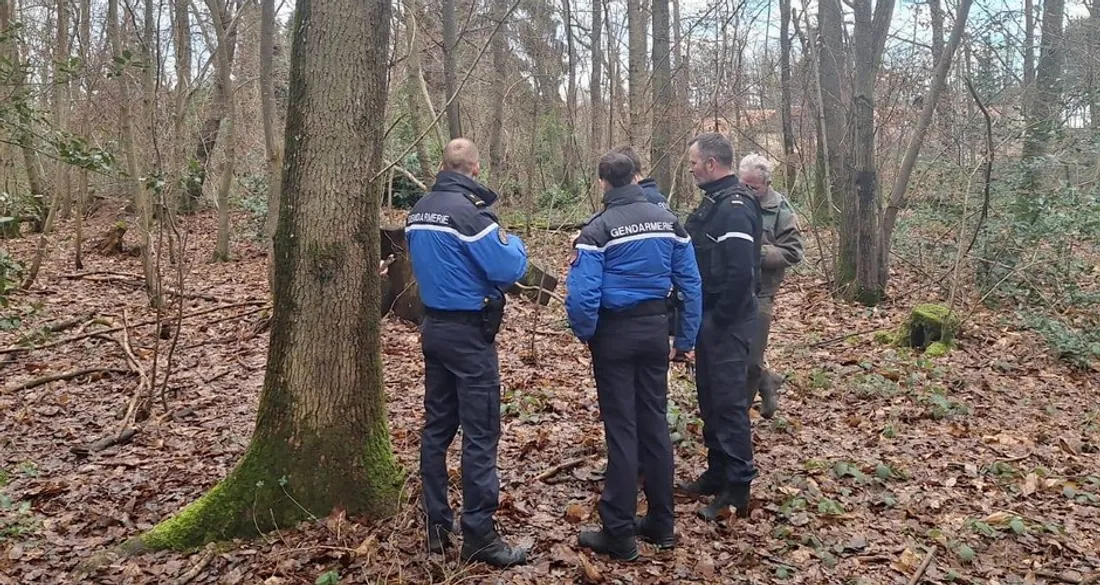 Les autorités interviennent en forêt