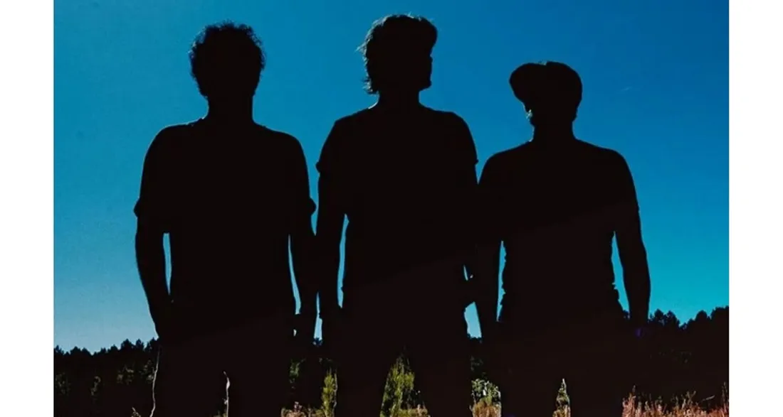 Groupe Détroit, dont Bertrand Cantat est membre