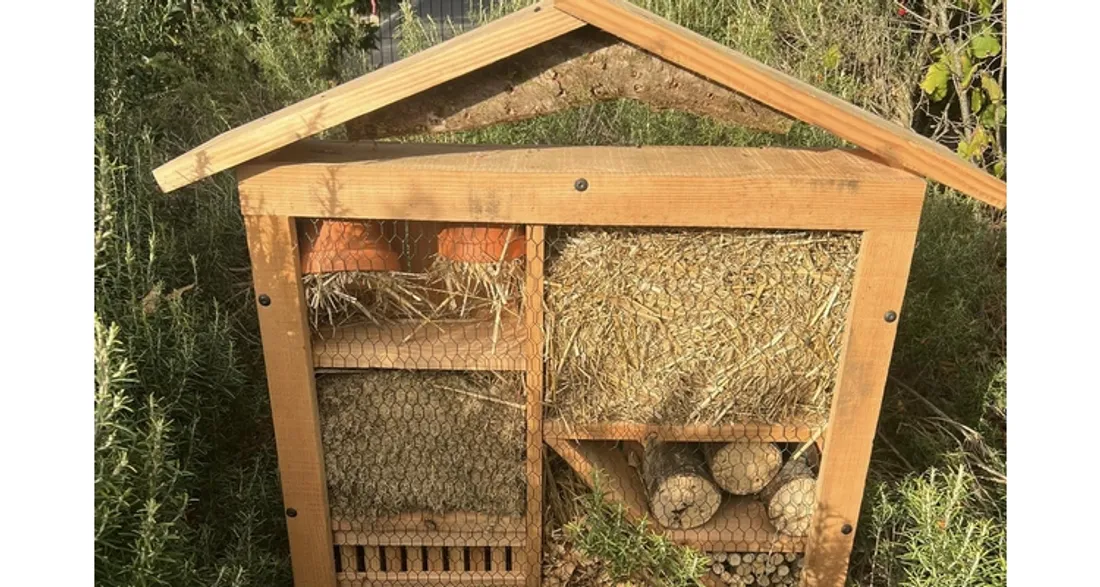 Hôtel à insectes