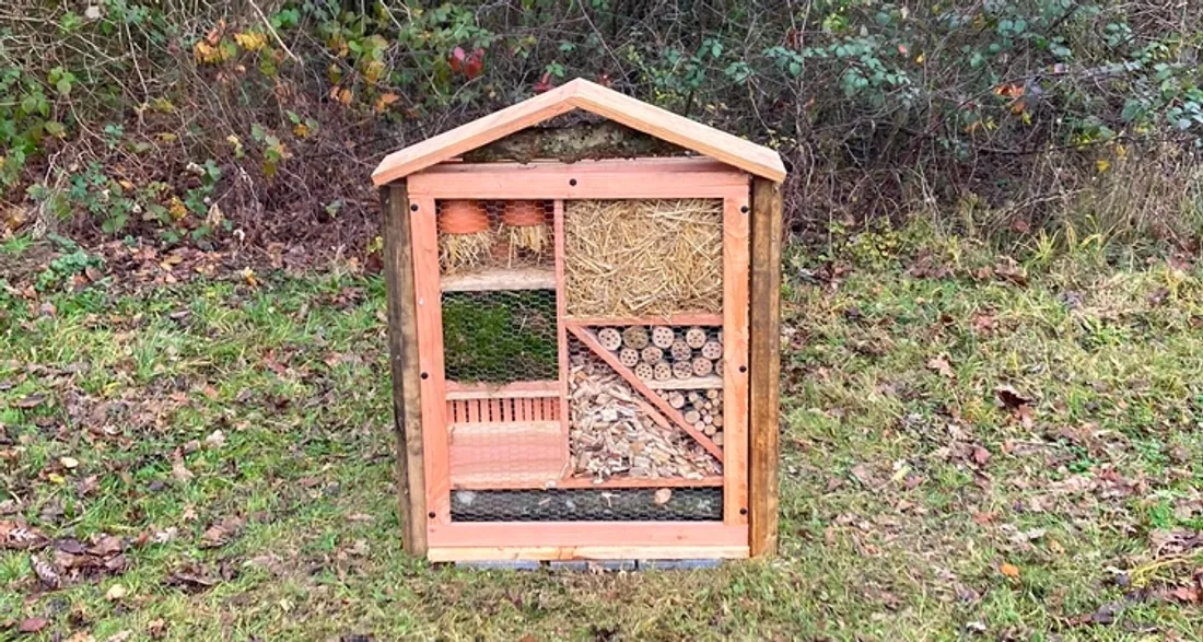 Hôtel à insectes