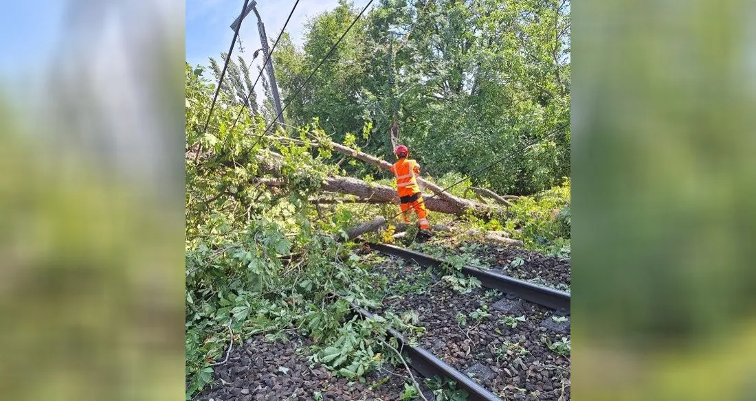 Chute d'arbre sur les caténaires