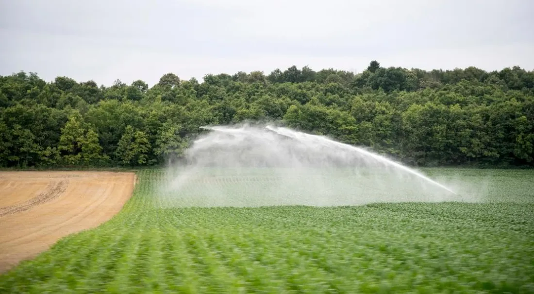 Irrigation