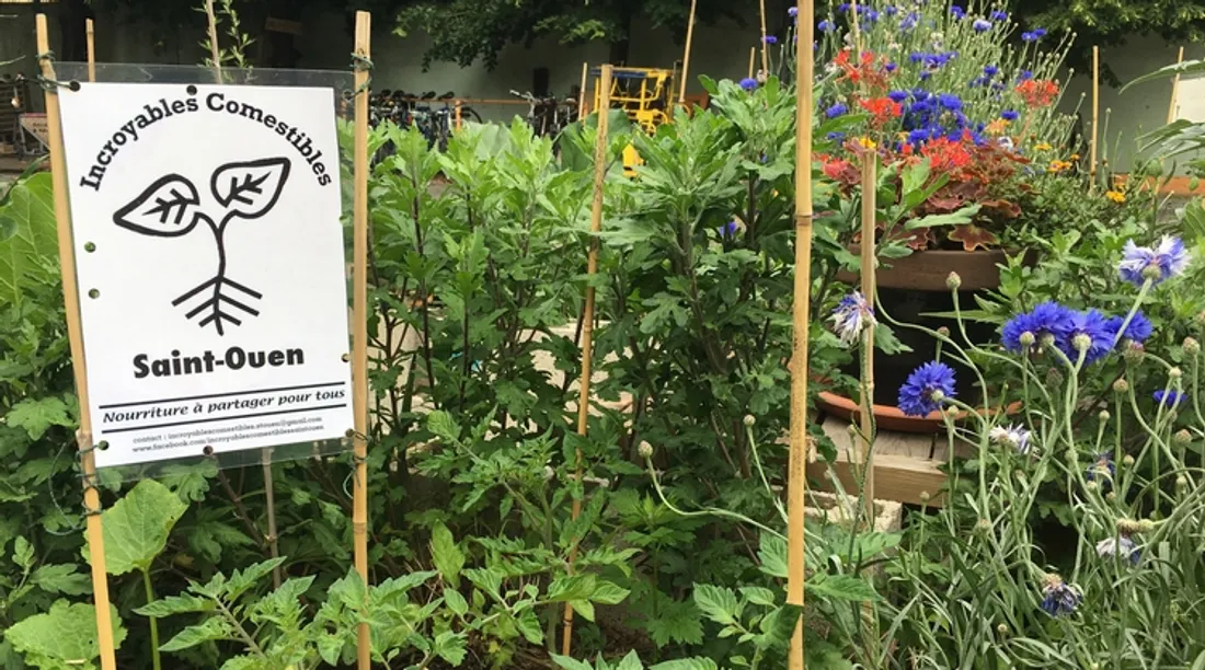 Jardins ouverts 2024