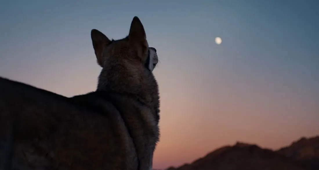 Image du clip "Un cri" de Johnny Hallyday