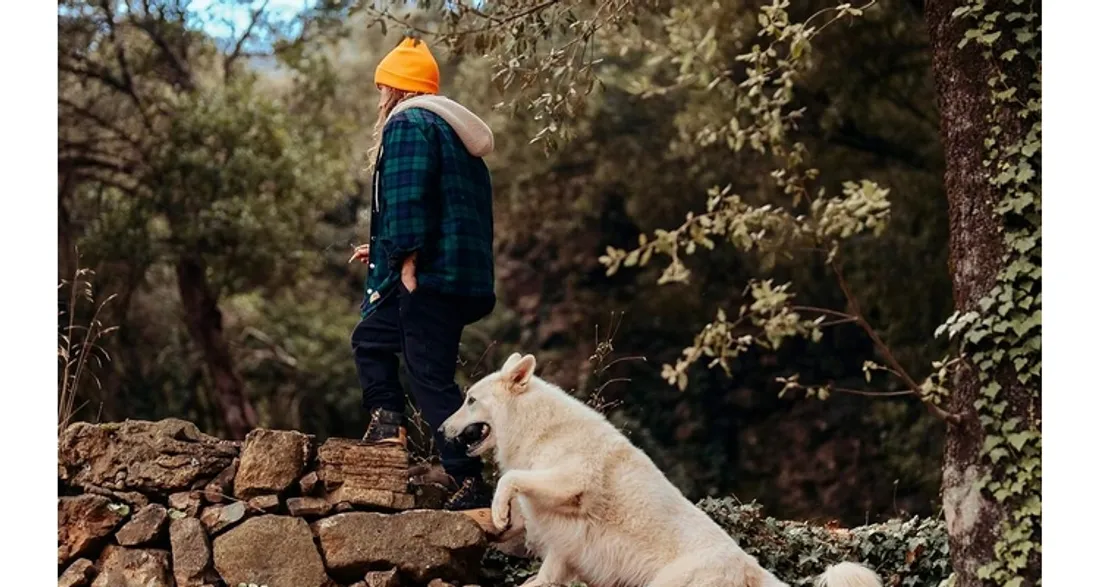 Julien Doré et ses chiens en balade