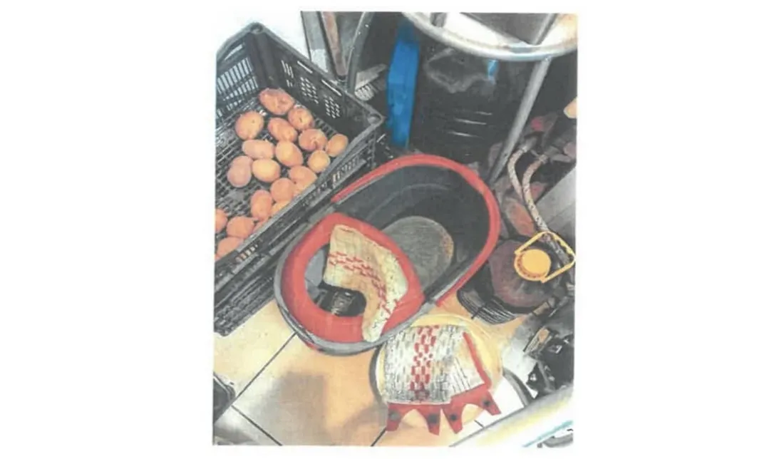 Photo prise dans "Le Perché Mignon"