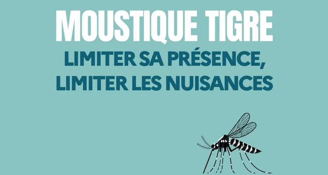 Lutte contre le moustique-tigre