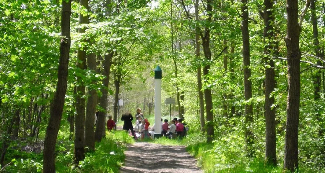 Nuits des forêts à Chantilly, dans l'Oise
