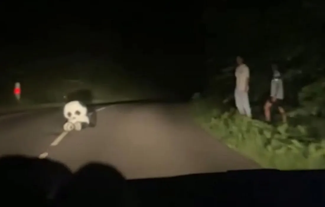 Peluche de panda sur la route
