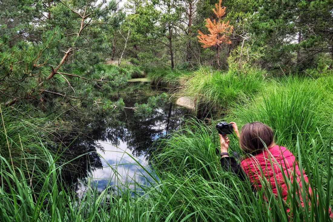 Initiation à la photo
