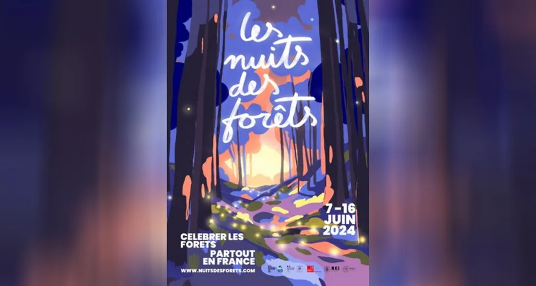 Nuits des forêts 2024