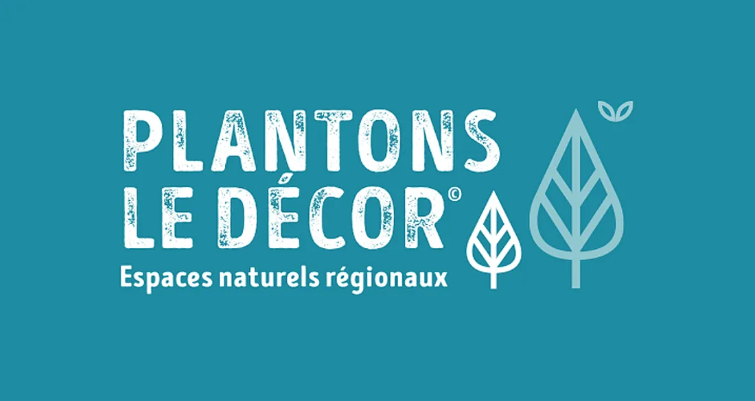 Plantons le décor
