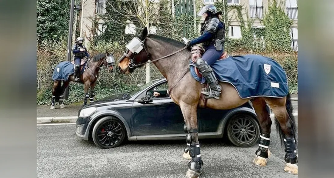 Policier de la brigade équestre / Illustration