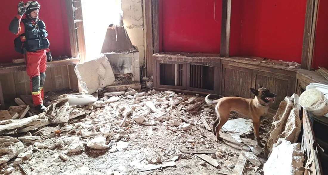 Pompier et son chien