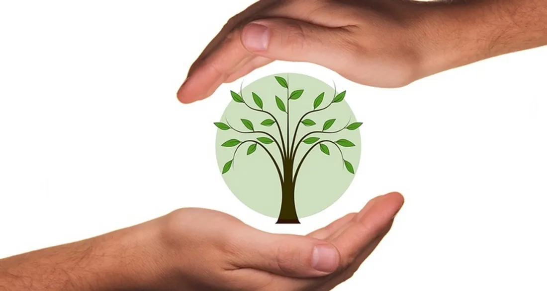 Responsabilité sociétale des entreprises