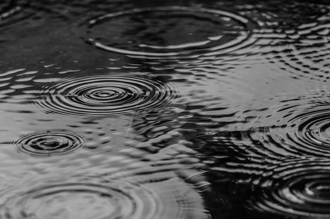 Flaque d'eau