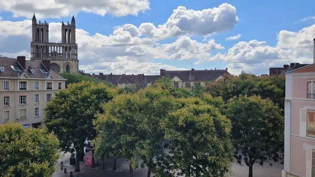 Arbres de la place Saint-Maclou à Mantes-la-Jolie