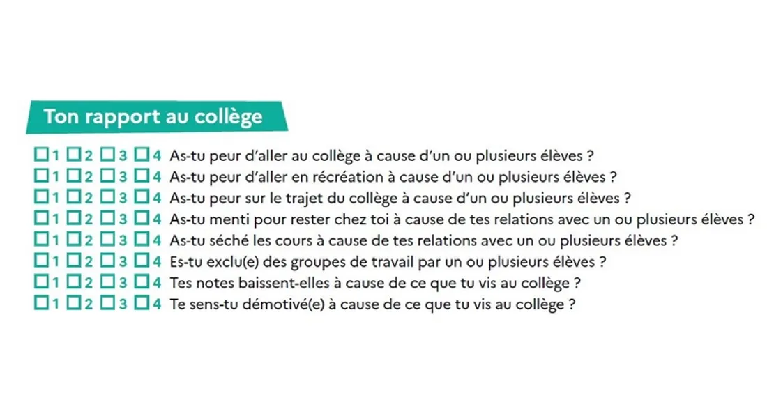 Questionnaire sur le harcèlement (au collège)