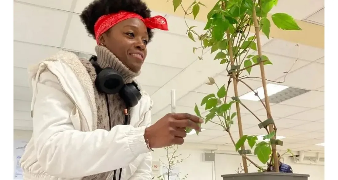 Concours de reconnaissance de végétaux