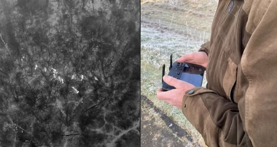 Repérage d'animaux par drone thermique