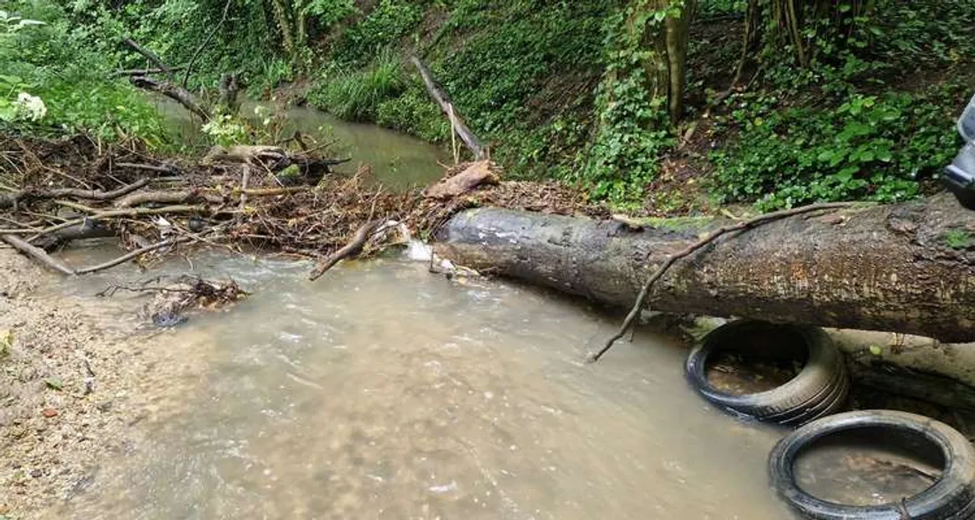 Rivière Le Grand Morin