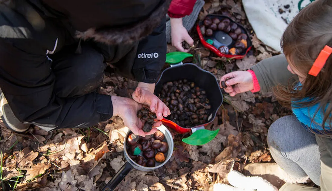 Ecole Les petites ruches