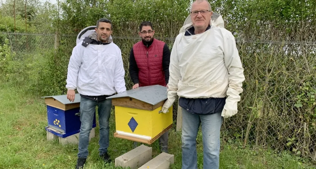 Ruches au parc Louis Philippe