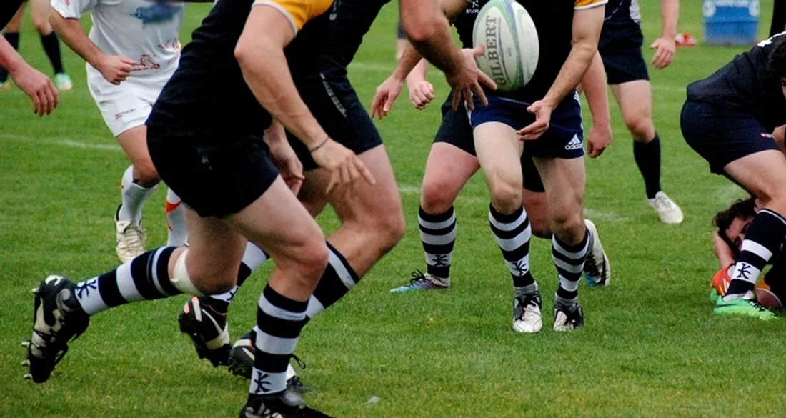Joueurs de rugby