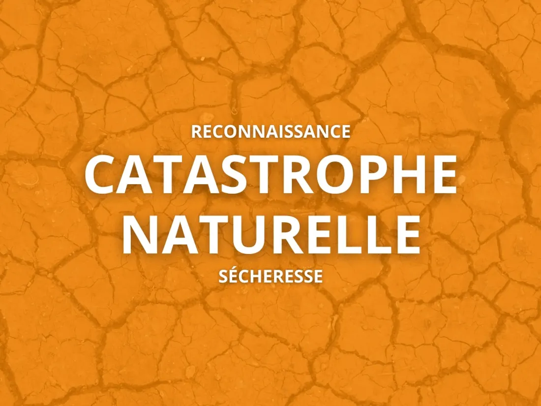 Catastrophe naturelle