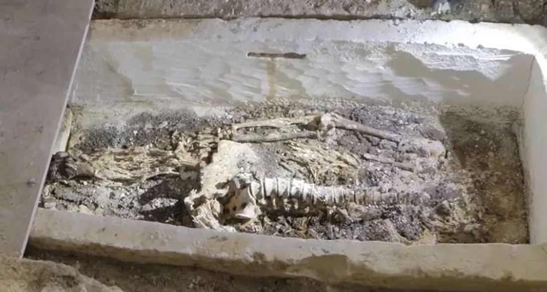 Sarcophage ouvert à Chartres