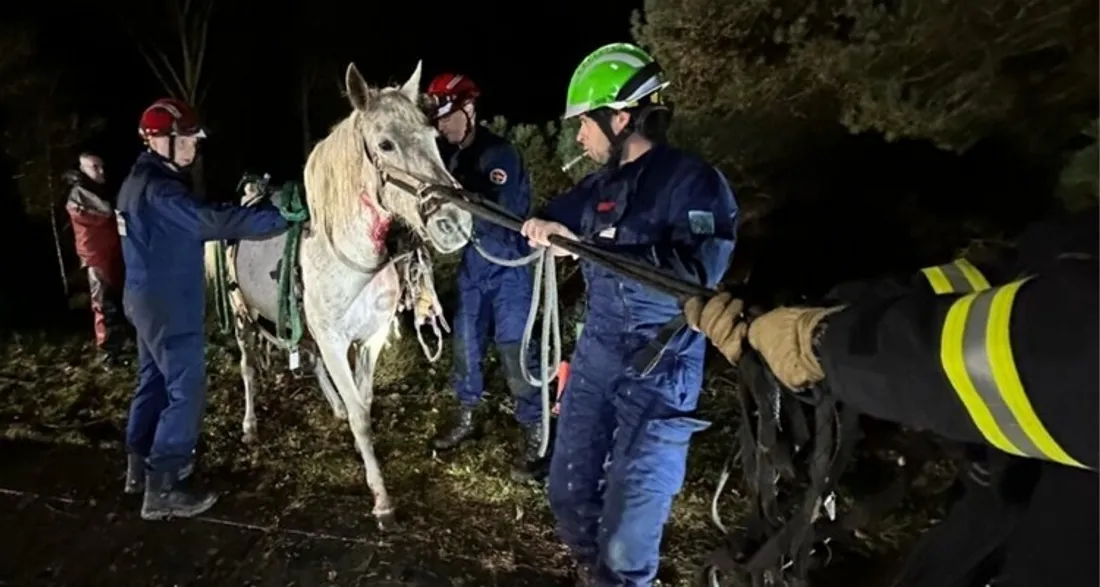 Sauvetage d'une jument aux Essarts-le-Roi