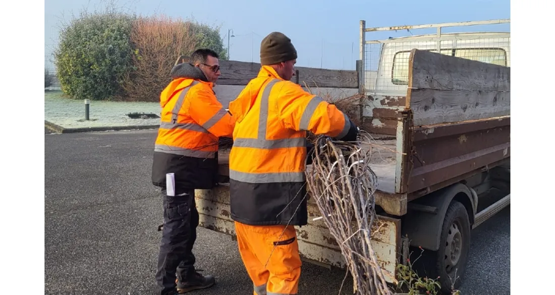 Opération Sensibilis'haie