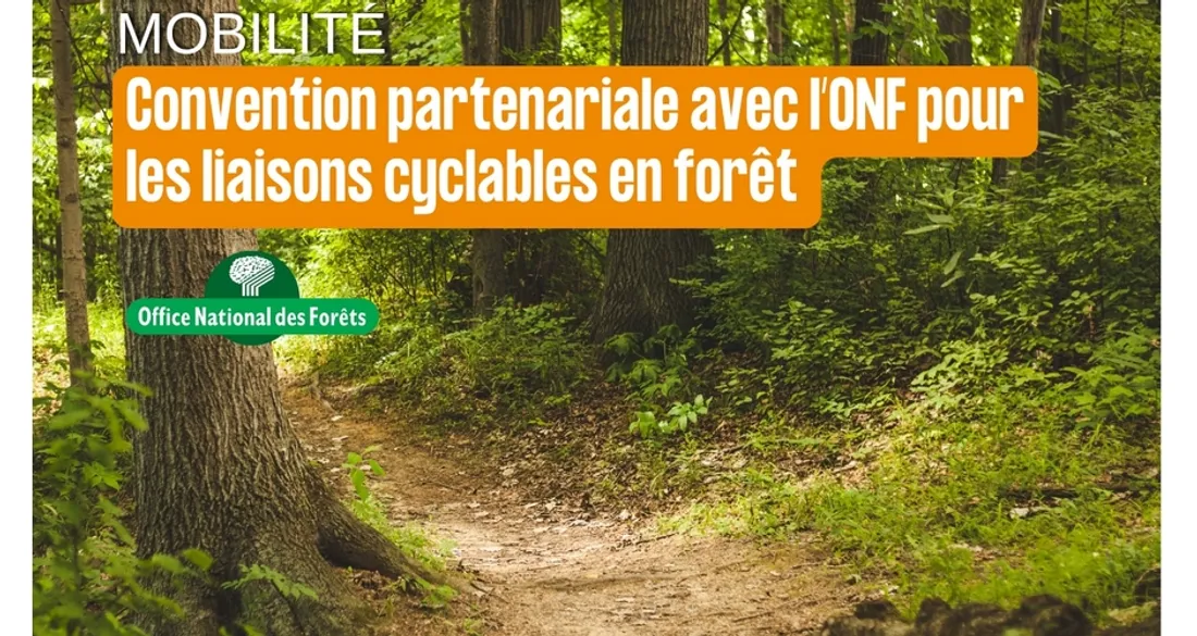 Développement des liaisons douces en forêt de Fontainebleau