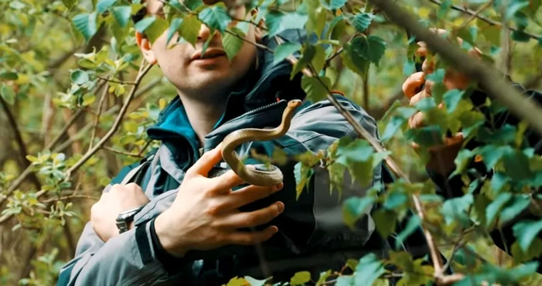 Une personne porte un serpent