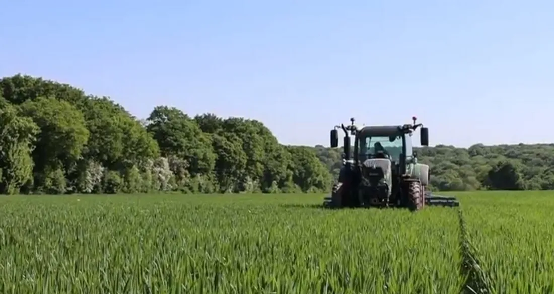 Tracteur dans un champ