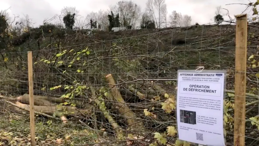 Défrichement pour le projet du pont d'Achères