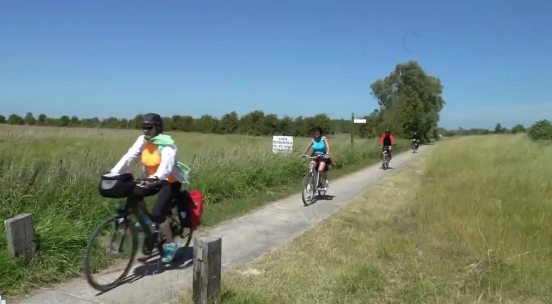 Cyclistes sur une véloroute