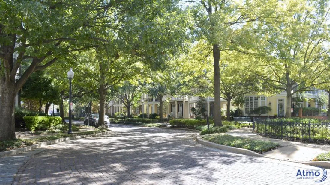 Végétalisation urbaine