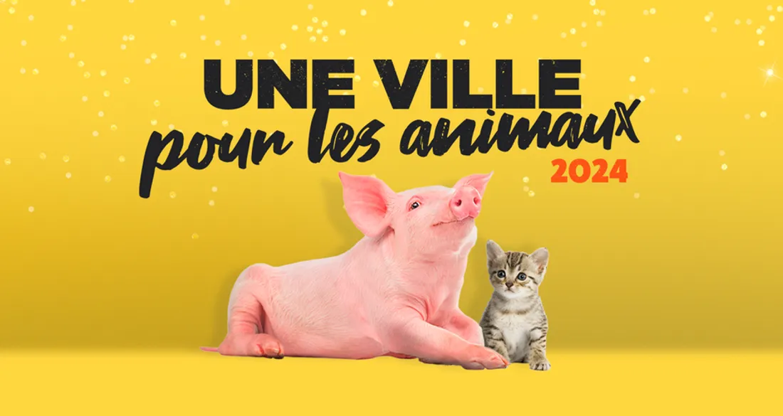 Une ville pour les animaux
