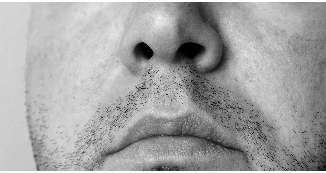 Partie inférieure d'un visage