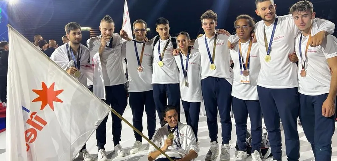 Franciliens ayant brillé lors des Worldskills