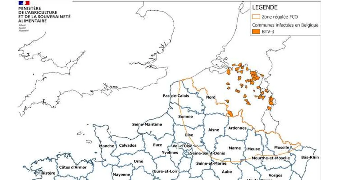 Zone-tampon contre la FCO