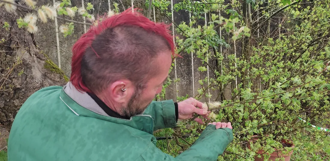 William Le Gall, responsable du Pollinarium du jardin des plantes de Nantes